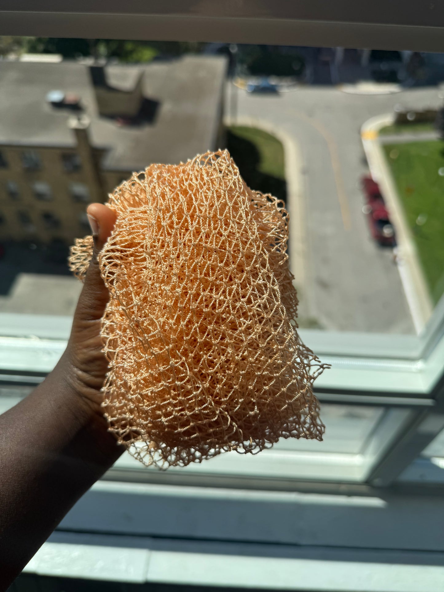 AFRICAN MESH SPONGE
