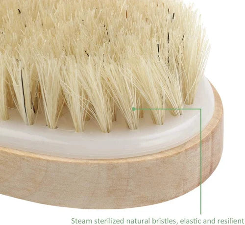 Natural Bristle Body Brush – Gentle Exfoliating Dry & Wet Brush | Wooden Handheld Spa Massager